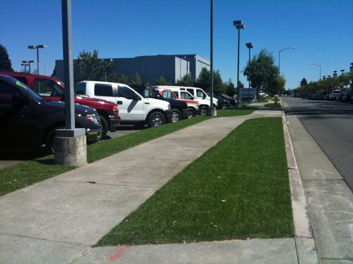 Artificial Grass Carpet Granville South, Ohio Landscape Photos, Commercial Landscape