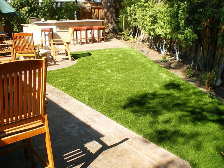 Artificial Grass Carpet Hide-A-Way Hills, Ohio Gardeners, Backyard