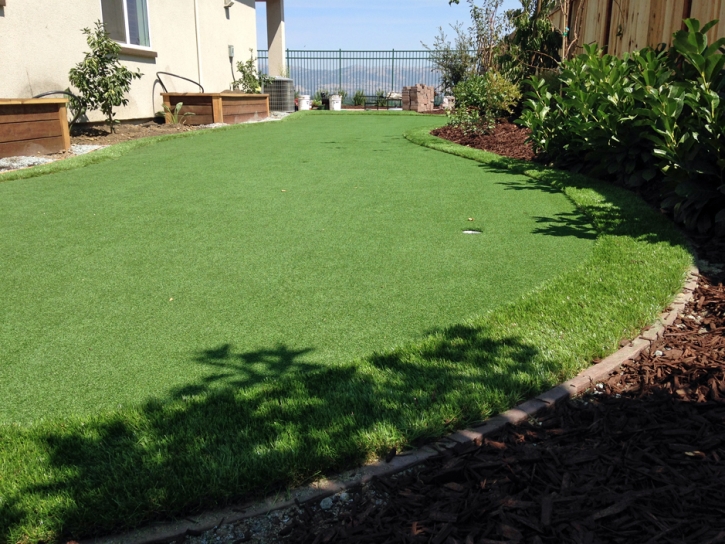 Artificial Grass Installation Gratiot, Ohio Gardeners, Backyards