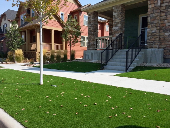 Artificial Grass Lake Darby, Ohio City Landscape, Landscaping Ideas For Front Yard