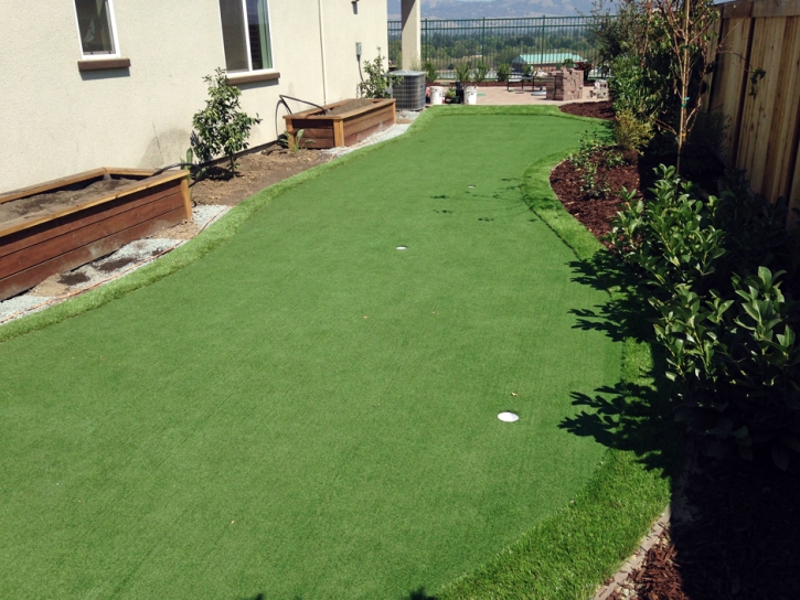 Artificial Grass Riverside, Ohio Lawn And Garden, Backyard Garden Ideas