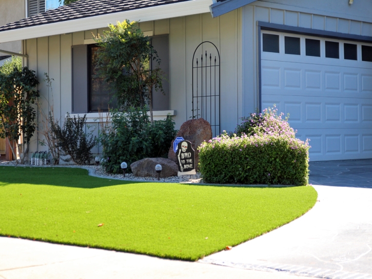 Artificial Lawn Attica, Ohio Lawn And Garden, Front Yard Ideas