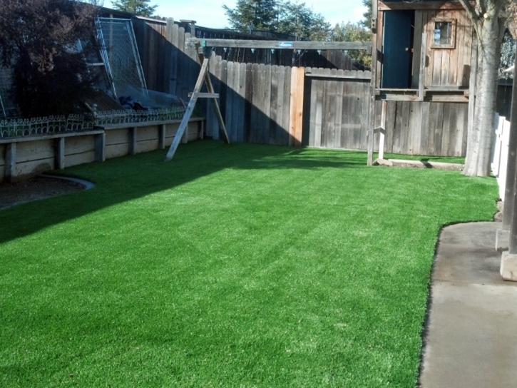 Artificial Lawn Melmore, Ohio Rooftop, Backyard Landscape Ideas