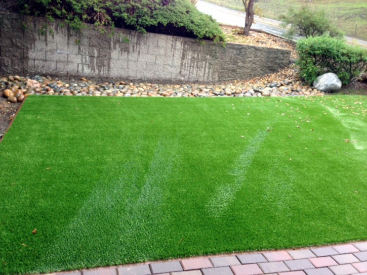 Artificial Lawn Woodstock, Ohio Lawns, Front Yard Ideas