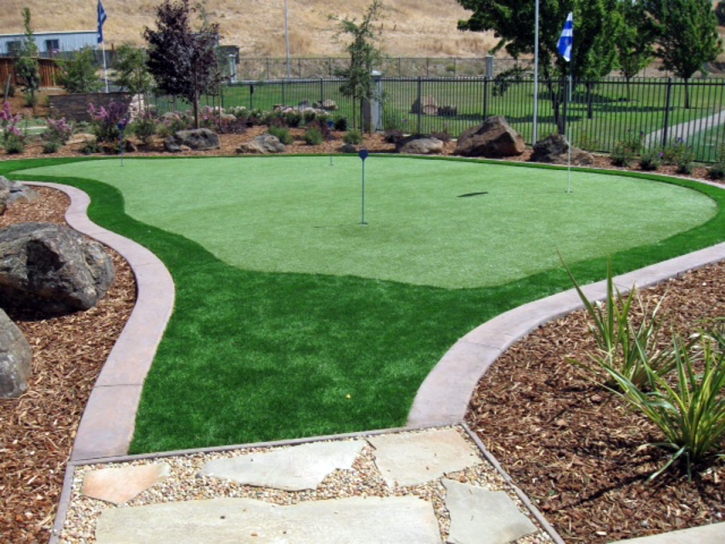 Artificial Turf Alger, Ohio Backyard Putting Green, Beautiful Backyards