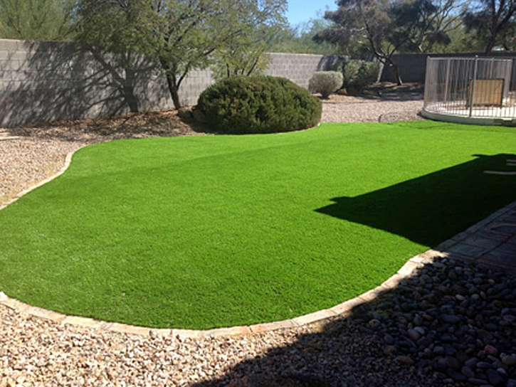 Artificial Turf Canal Winchester, Ohio Landscaping, Backyard