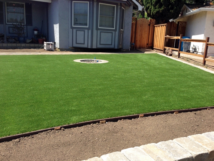 Artificial Turf Carbon Hill, Ohio Roof Top, Front Yard Landscaping Ideas