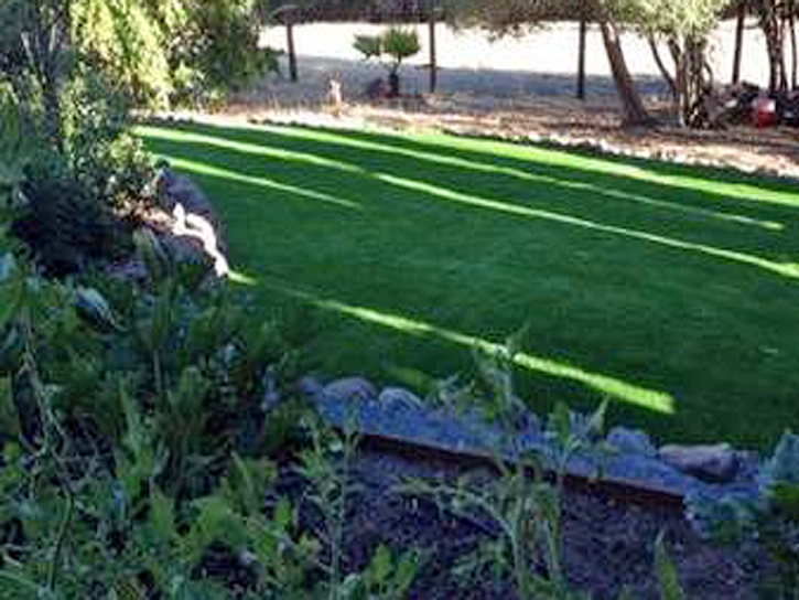 Artificial Turf Cost Anna, Ohio Gardeners, Small Backyard Ideas