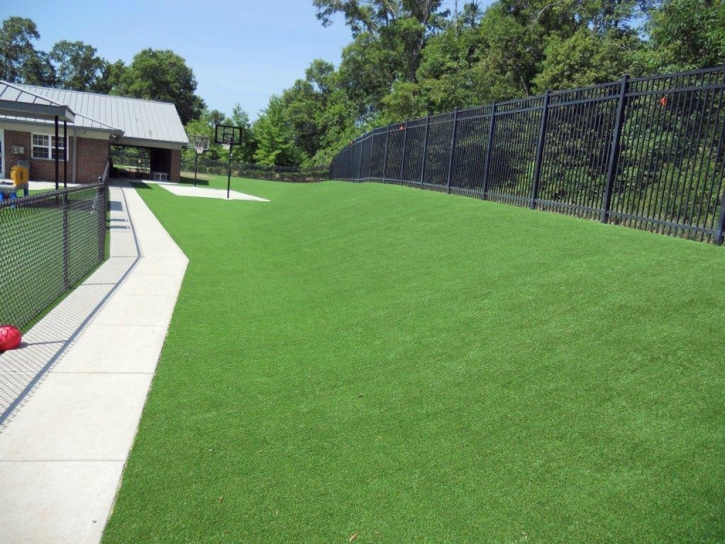 Artificial Turf Cost East Fultonham, Ohio Lawn And Garden, Commercial Landscape