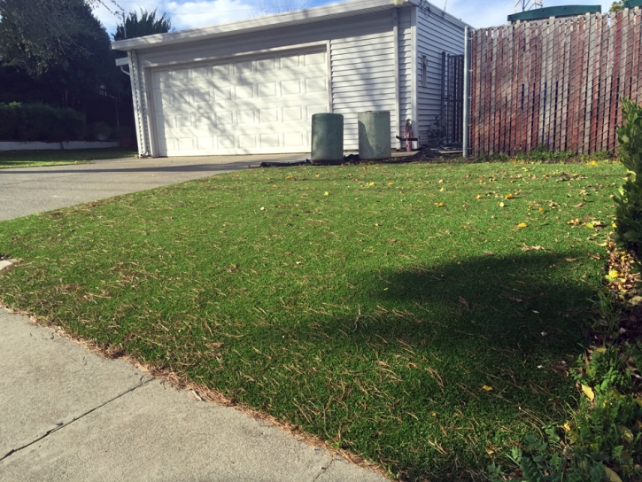 Artificial Turf Cost McArthur, Ohio Rooftop, Front Yard Landscaping