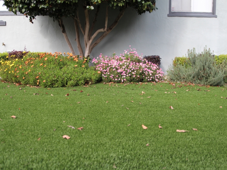 Artificial Turf Fletcher, Ohio Roof Top, Front Yard Design