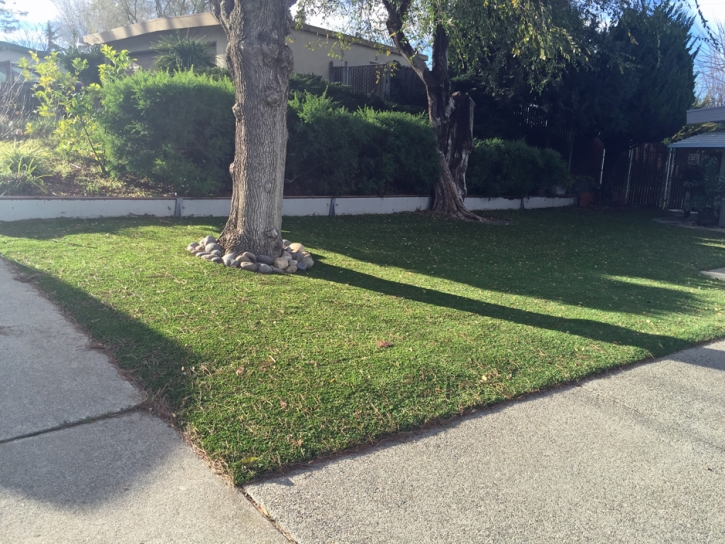 Artificial Turf Installation Pleasant Grove, Ohio Garden Ideas, Small Front Yard Landscaping