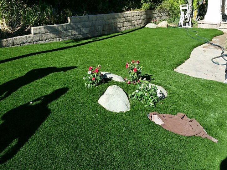 Artificial Turf Kettlersville, Ohio Lawn And Landscape, Front Yard Landscaping