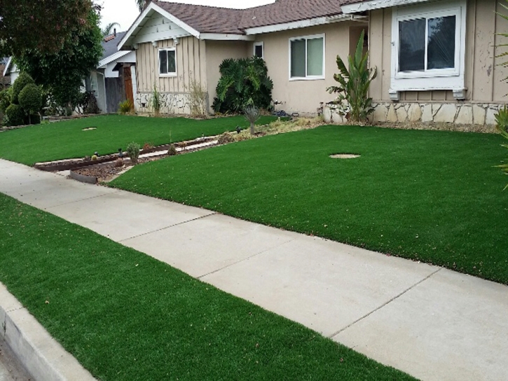 Artificial Turf Lafayette, Ohio Rooftop, Small Front Yard Landscaping