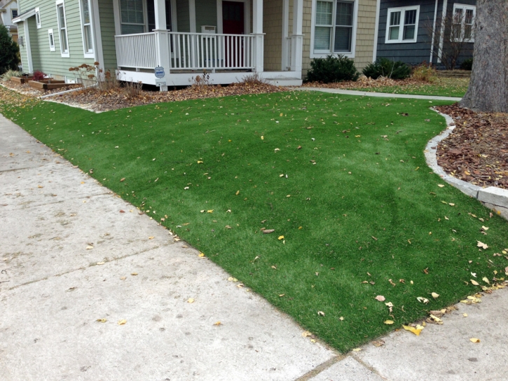 Best Artificial Grass Marble Cliff, Ohio Landscaping Business, Front Yard Landscaping Ideas