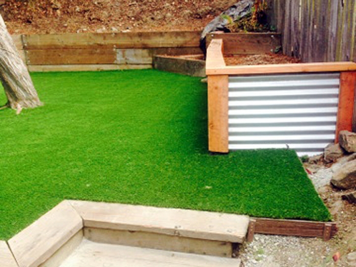 Best Artificial Grass West Lafayette, Ohio Landscaping Business, Backyard Landscape Ideas