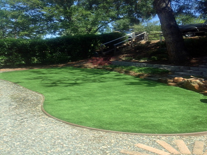 Fake Grass Baltimore, Ohio Backyard Deck Ideas, Small Backyard Ideas