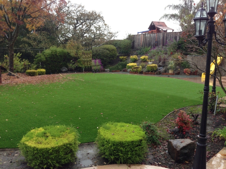 Fake Grass Carpet Brice, Ohio Landscaping Business, Backyard Landscape Ideas