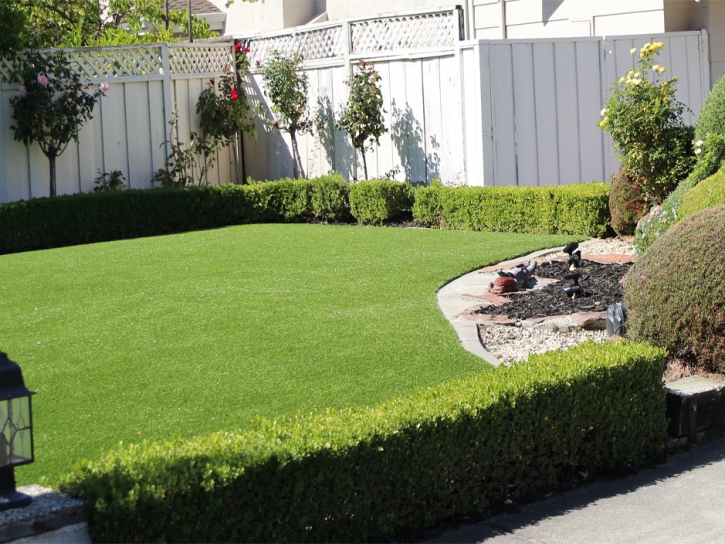 Fake Grass Carpet Cridersville, Ohio Rooftop, Backyard Ideas