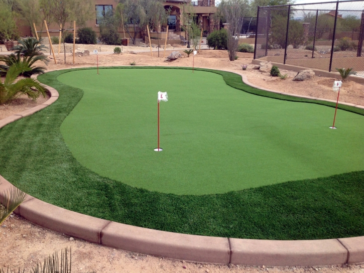 Fake Grass Carpet Dunkirk, Ohio Golf Green, Backyard Design