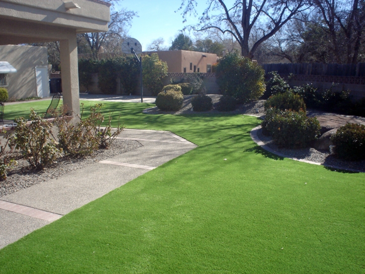 Fake Grass Carpet Mount Sterling, Ohio Garden Ideas, Front Yard Landscape Ideas