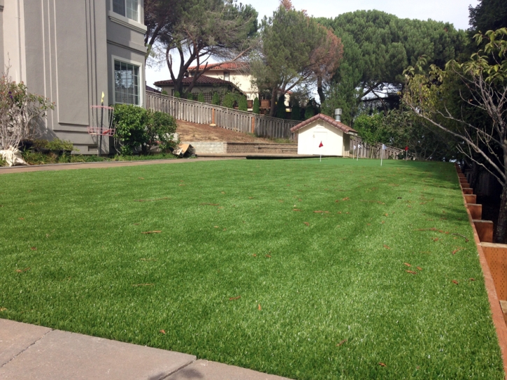 Fake Grass Carpet Willard, Ohio Putting Green Turf, Small Backyard Ideas