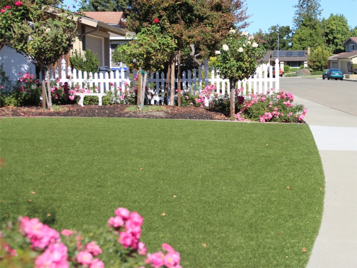 Fake Lawn Belle Valley, Ohio Design Ideas, Landscaping Ideas For Front Yard