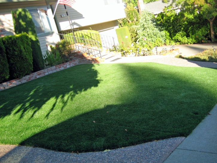 Fake Lawn North Fairfield, Ohio Backyard Playground, Front Yard Landscaping Ideas