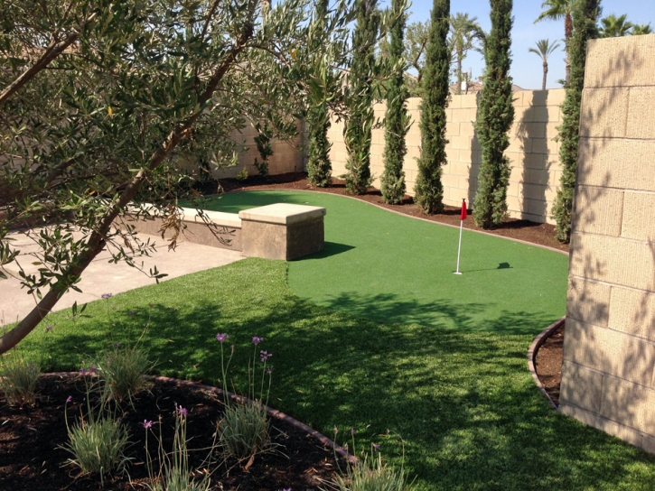 Fake Turf Oak Hill, Ohio Outdoor Putting Green, Backyards