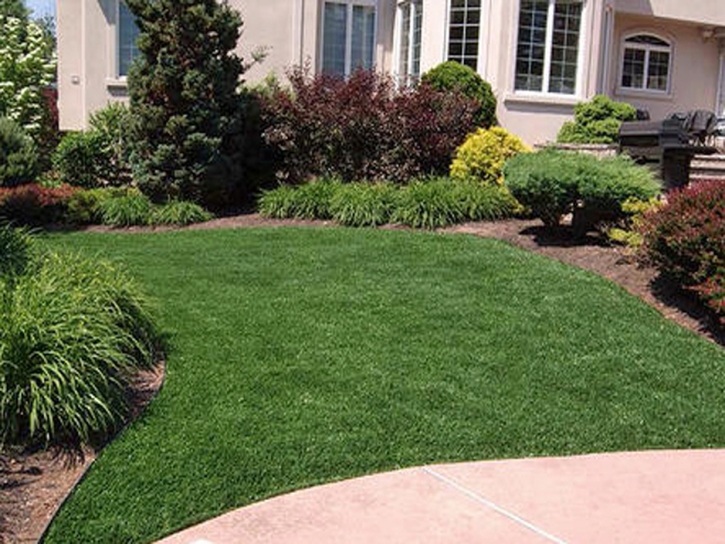 Faux Grass Fulton, Ohio Landscape Rock, Front Yard Landscaping Ideas