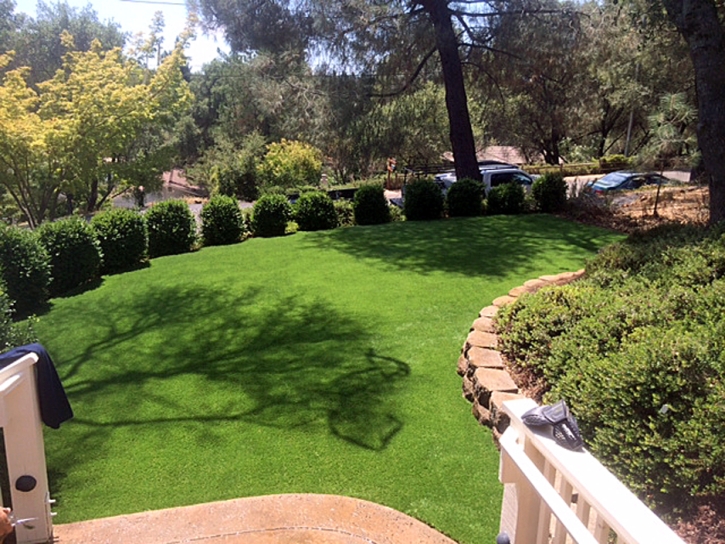 Faux Grass New California, Ohio Design Ideas, Backyard Ideas