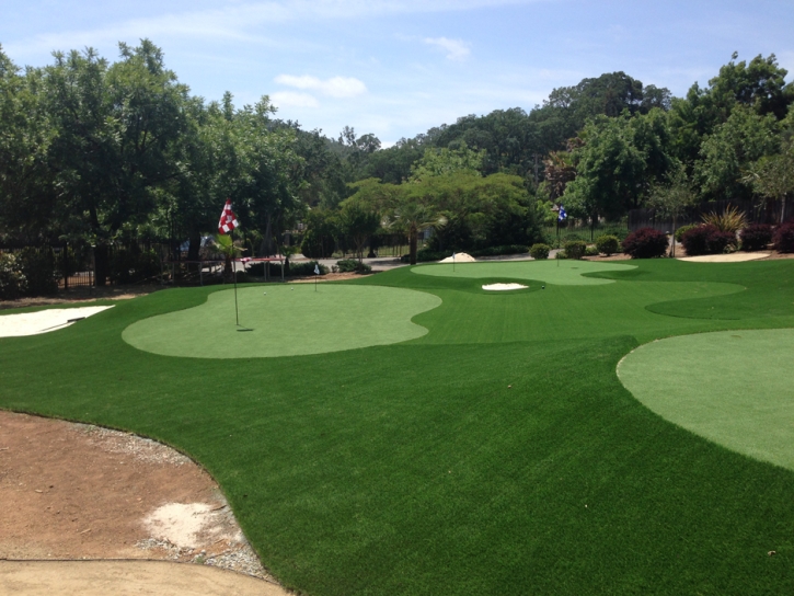 Faux Grass Ridgeway, Ohio Indoor Putting Greens, Front Yard