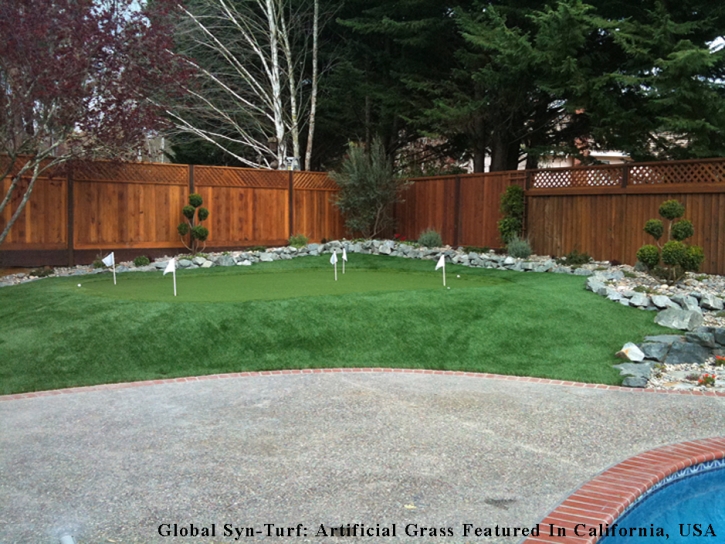 Grass Carpet Blacklick Estates, Ohio Landscape Ideas, Backyards