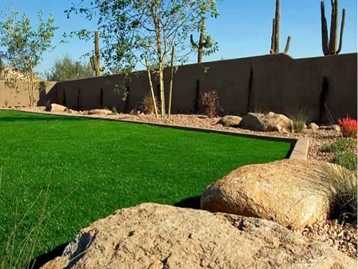 Grass Carpet Fredericksburg, Ohio Backyard Playground, Backyard