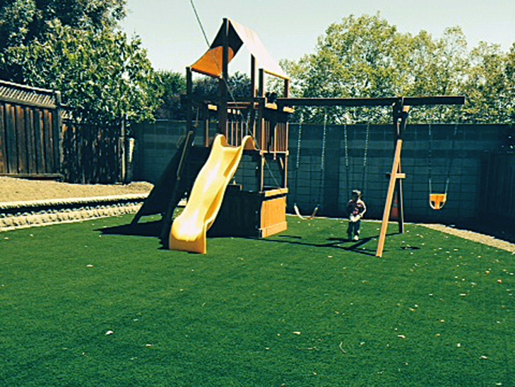 Grass Carpet Kettering, Ohio Roof Top, Backyard Landscaping