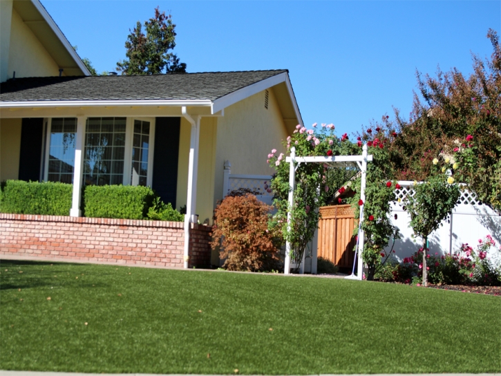 Grass Carpet Laura, Ohio Landscape Rock, Front Yard Ideas