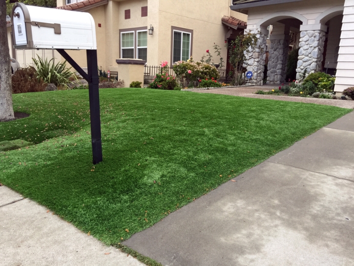 Grass Carpet Milledgeville, Ohio Roof Top, Front Yard Landscape Ideas