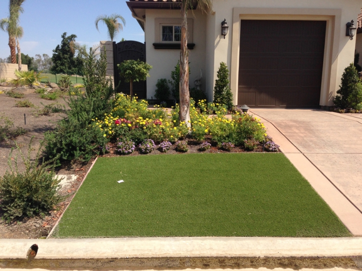 Grass Carpet Port Jefferson, Ohio Landscape Design, Small Front Yard Landscaping