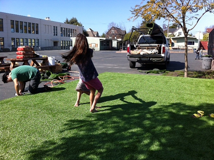 Grass Carpet Quincy, Ohio Design Ideas, Commercial Landscape