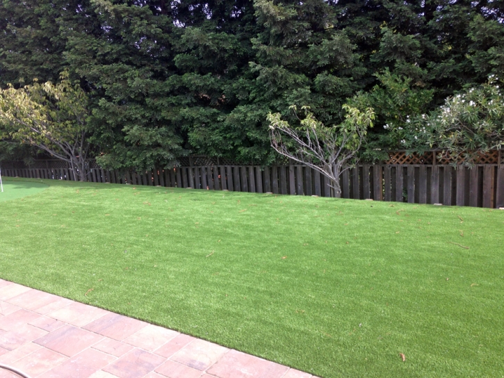 Grass Carpet Waterford, Ohio Design Ideas, Backyards