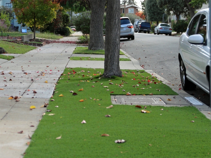 Grass Turf Good Hope, Ohio Landscaping, Landscaping Ideas For Front Yard