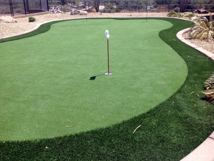 Grass Turf New Haven, Ohio Putting Green Carpet, Beautiful Backyards