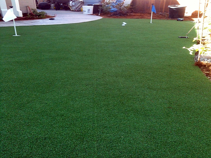 Grass Turf Ostrander, Ohio Rooftop, Backyard Design