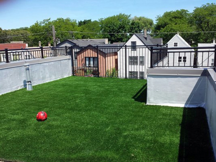 How To Install Artificial Grass Jeffersonville, Ohio Dog Parks, Veranda