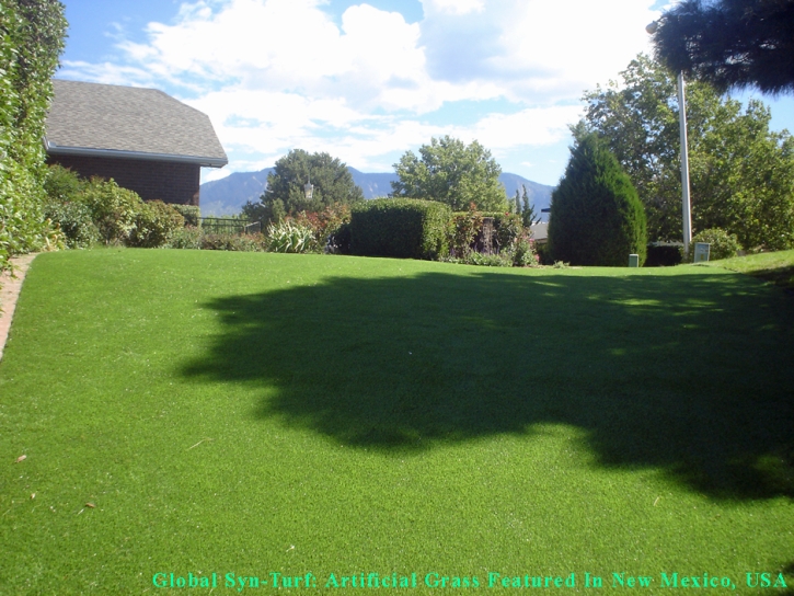 How To Install Artificial Grass Whitehall, Ohio Pet Turf, Backyard Landscaping Ideas