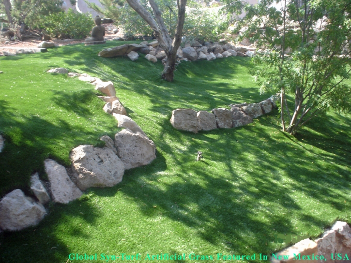 Installing Artificial Grass Obetz, Ohio Backyard Deck Ideas, Pavers