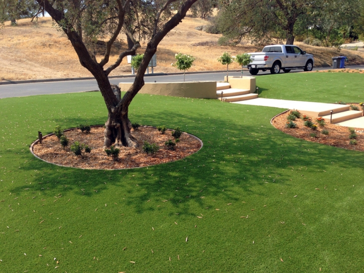 Outdoor Carpet Mifflin, Ohio Garden Ideas, Small Front Yard Landscaping