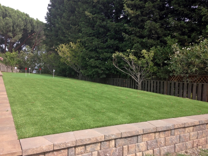 Plastic Grass Sardinia, Ohio Office Putting Green, Backyard