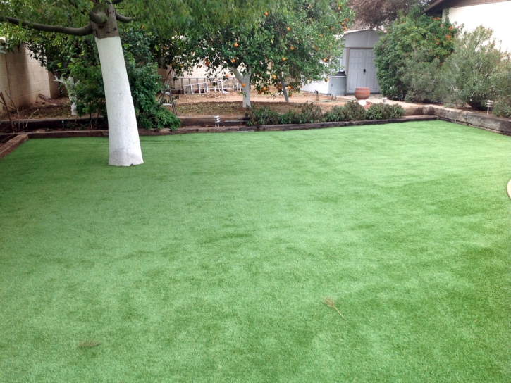 Synthetic Grass Arlington, Ohio Backyard Playground, Beautiful Backyards