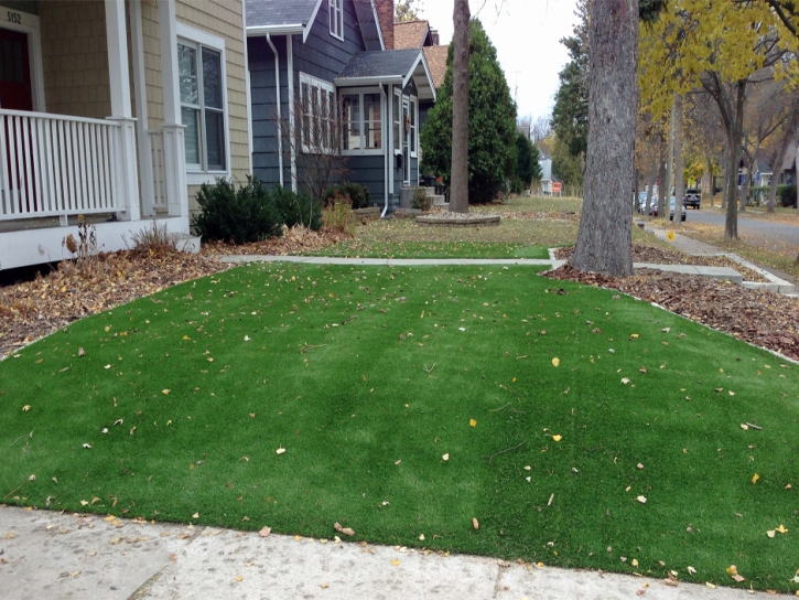 Synthetic Grass Cost Bainbridge, Ohio Gardeners, Front Yard